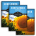 Three seed packet packages for Survival Garden Seeds 'Sunflower Mammoth' are shown overlapping on a white background. The packets feature a bright blue header with white text and a close-up photo of a yellow sunflower.