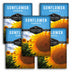 Five seed packet designs for 'Sunflower Mammoth' seeds by Survival Garden Seeds are arranged in a fan-like layout. The packets feature bright blue headers with white text and a large, detailed photograph of a yellow and brown sunflower on the lower portion.