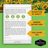 A printed card with growing instructions and care information for Mammoth Sunflowers, shown over a background of sunflower blooms. The card includes a description of variety, growing instructions, seed saving tips, and the Survival Garden Seeds logo.