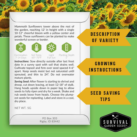 A printed card with growing instructions and care information for Mammoth Sunflowers, shown over a background of sunflower blooms. The card includes a description of variety, growing instructions, seed saving tips, and the Survival Garden Seeds logo.