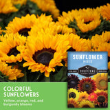 Sunflower seeds package with sunflowers in the background