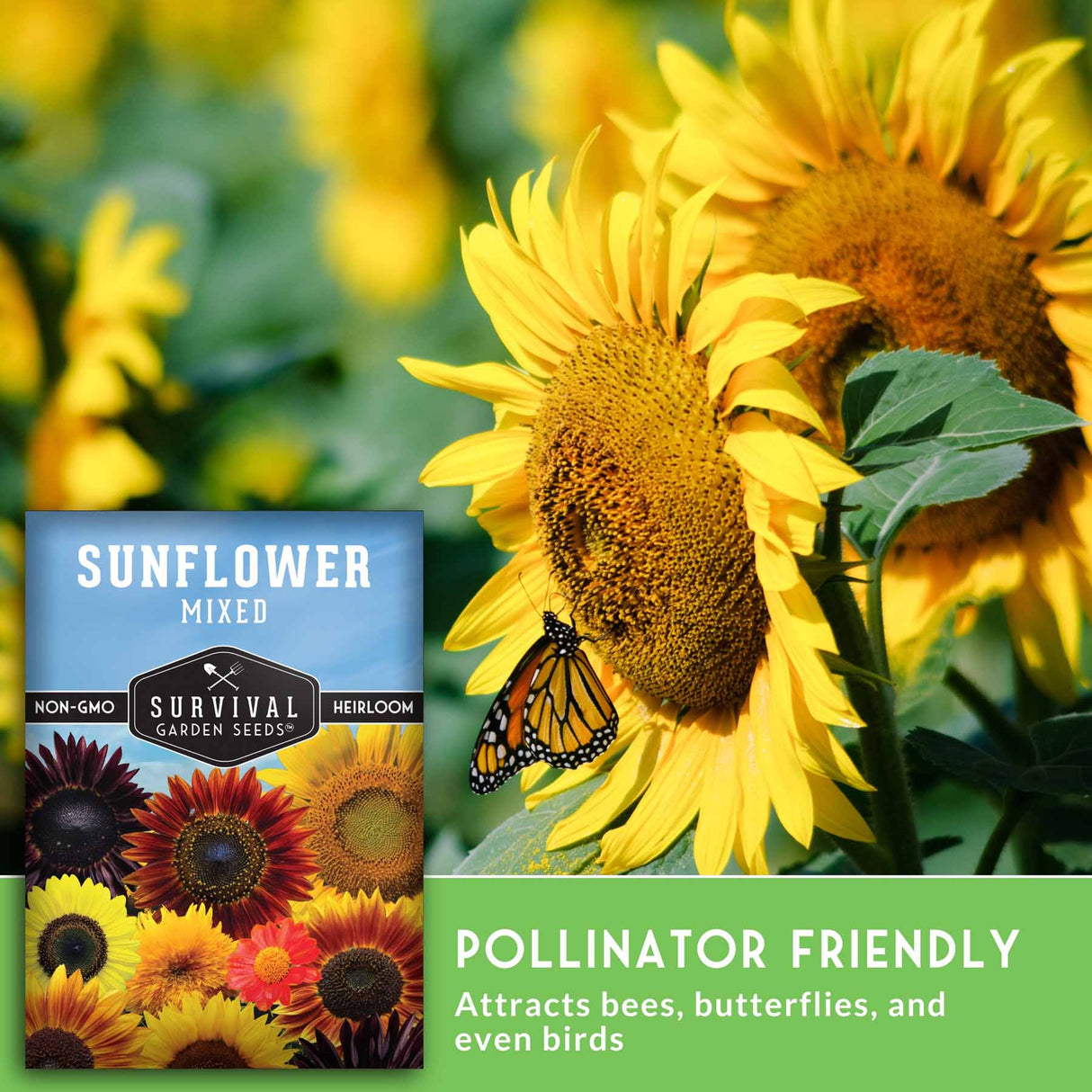 Sunflower seeds package with sunflowers and a butterfly on a green background