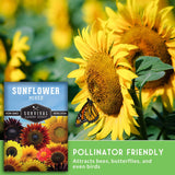 Sunflower seeds package with sunflowers and a butterfly on a green background