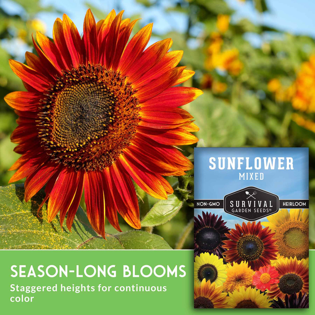 Sunflower withSurvival Garden Seeds packaging and text about season-long blooms.