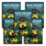 5 Survival Garden Seeds Prairie Sunflower packages with butterfly illustration on a green background