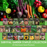Collection of survival garden staples with seed packets displayed below on a green background.