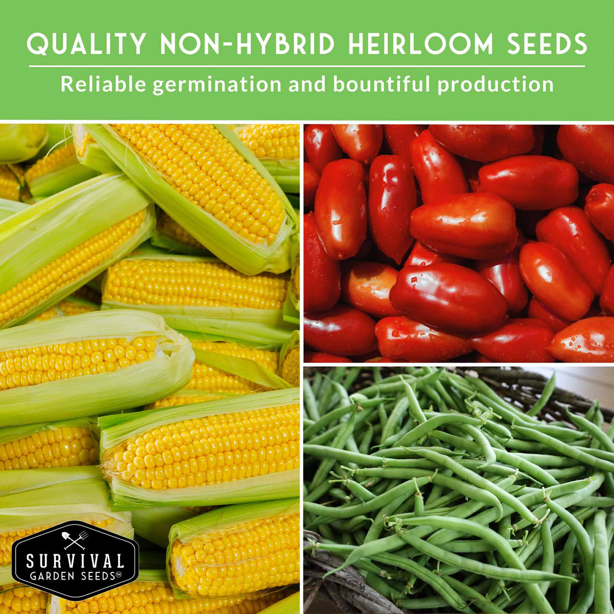 Collage of corn, tomatoes, and green beans with 'Survival Garden Seeds' logo on a green background.