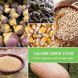 Collage of calorie dense food items including turnips, seeds, corn, and beans with a green label.