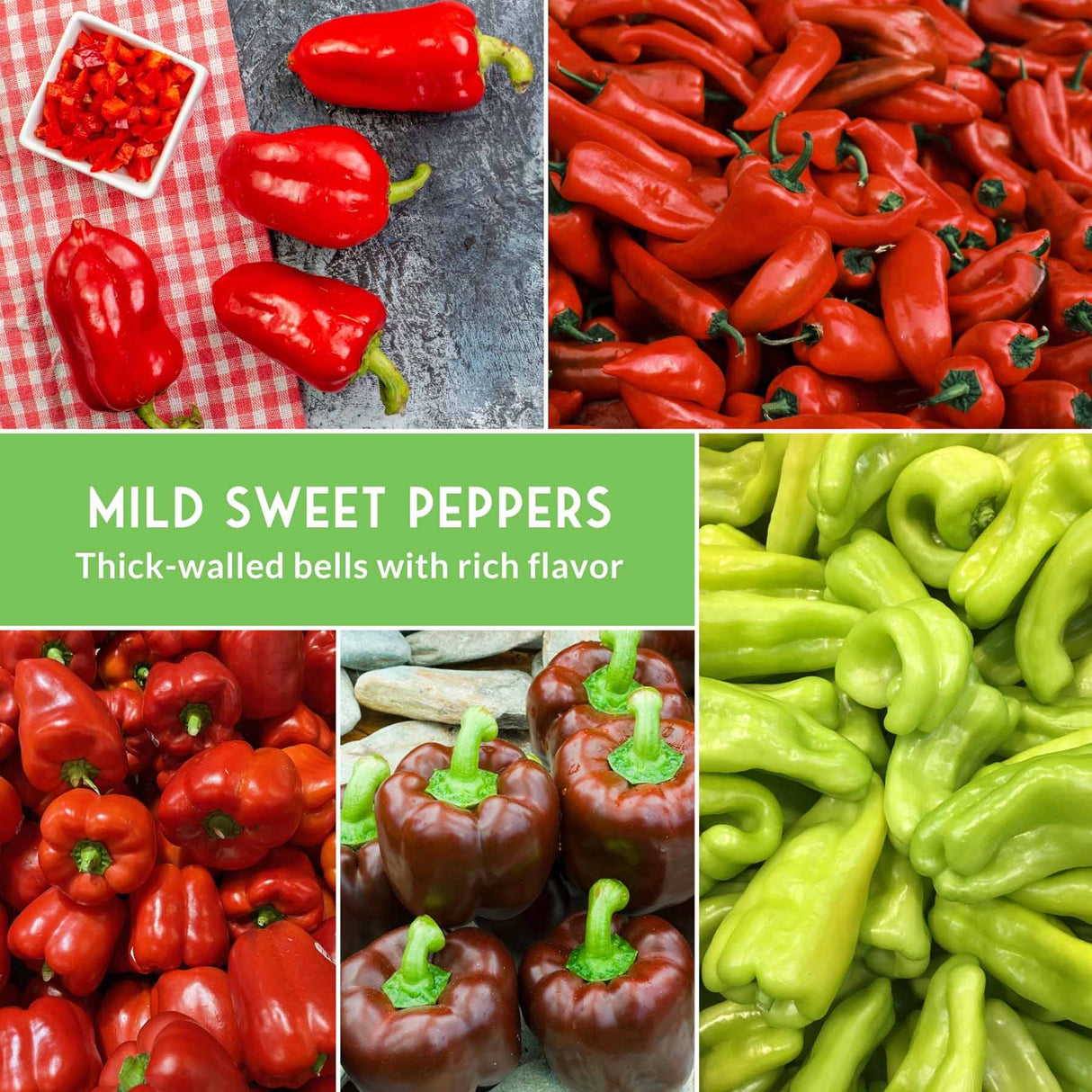 Red and green mild sweet peppers