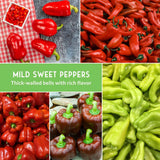 Red and green mild sweet peppers