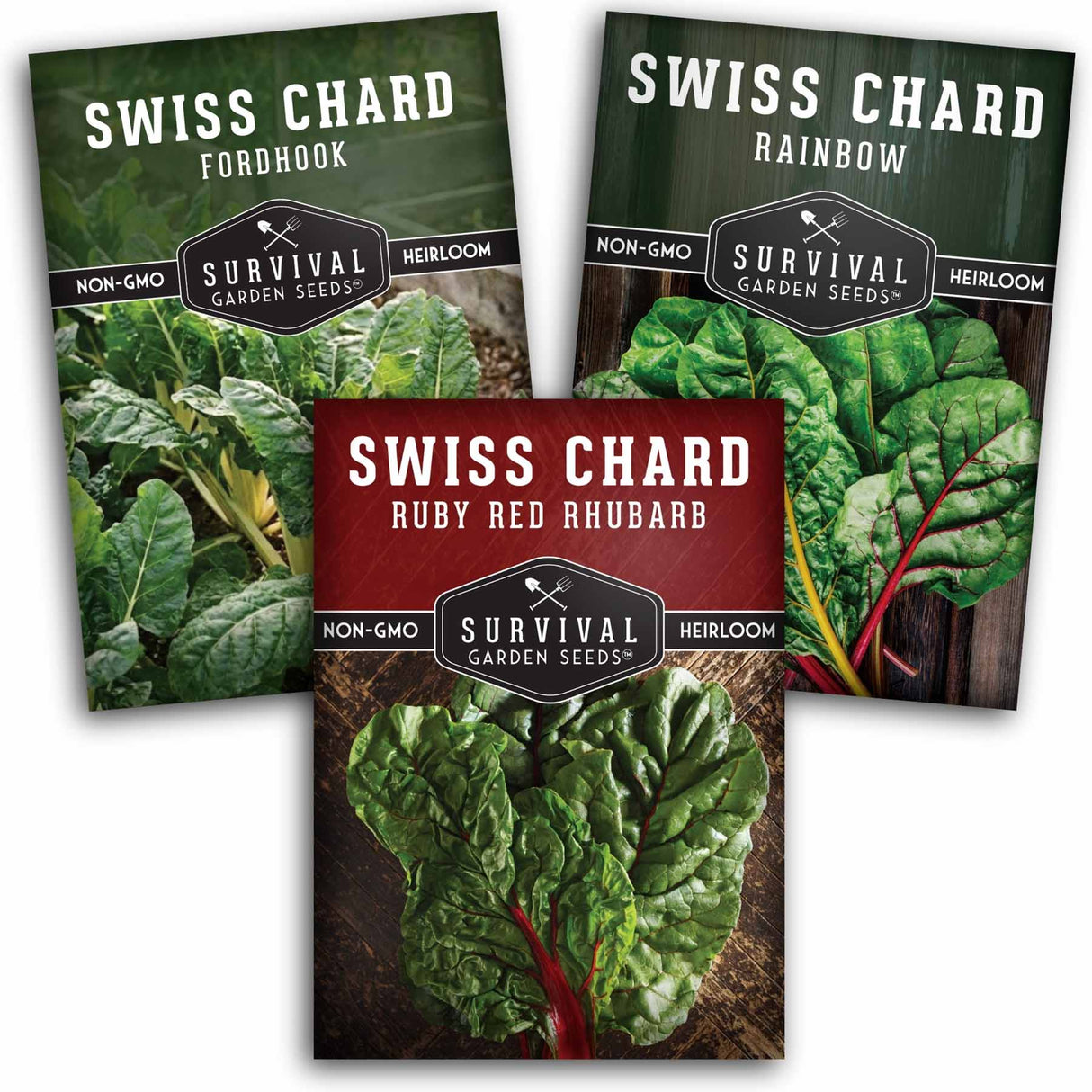 Swiss Chard 3 Variety Seed Collection – Rainbow, Ruby Red, and Fordhook Giant Heirloom Greens for Continuous Harvests