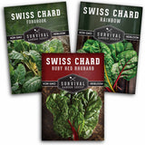 Swiss Chard 3 Variety Seed Collection – Rainbow, Ruby Red, and Fordhook Giant Heirloom Greens for Continuous Harvests