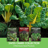 Swiss Chard 3 Variety Seed Collection – Rainbow, Ruby Red, and Fordhook Giant Heirloom Greens for Continuous Harvests