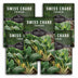 Survival Garden Seeds Swiss Chard Fordhook packages with greenery background