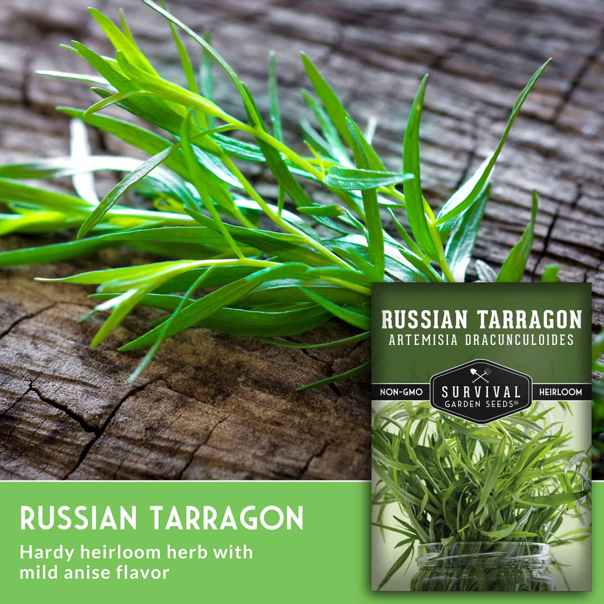 Russian tarragon leaves on wood surface with seed packet