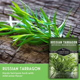 Russian tarragon leaves on wood surface with seed packet