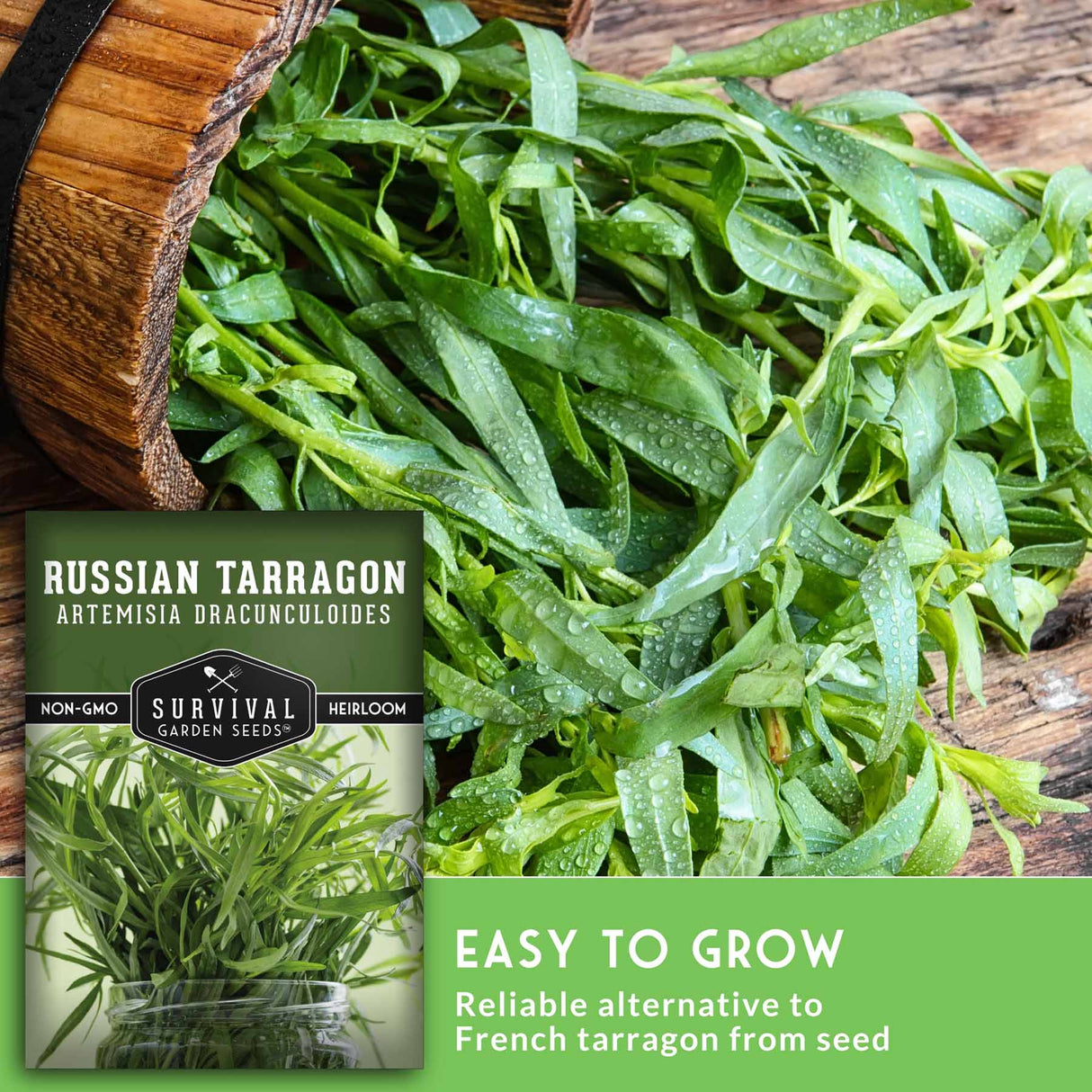 Russian Tarragon with text that says easy to grow