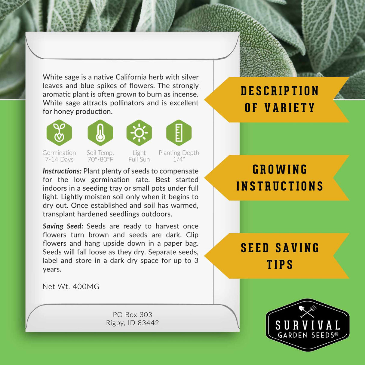 Seed packet for white sage with growing instructions and seed saving tips on a green background.