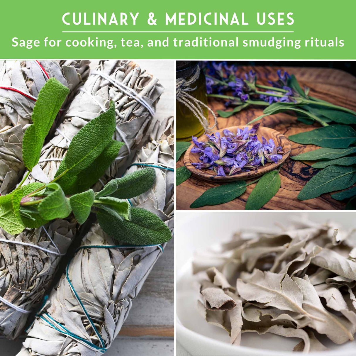 Collage of sage leaves and bundles with text about culinary, medicinal, and smudging uses.