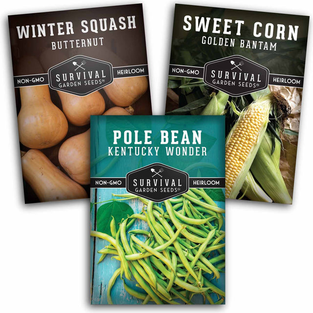 Three Sisters Seed collection - 3 packets of heirloom seeds