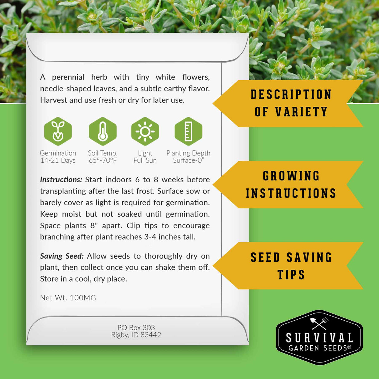 Seed packet with growing instructions and seed saving tips on a green background