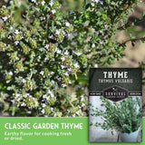 Thyme plant with a seed packet labeled 'Survival Garden Seeds' on a blurred natural background.