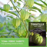 Tomatillo plant with green husks and a seed packet labeled 'Toma Verde' on a blurred natural background.