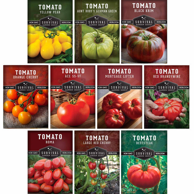 10 packets of heirloom tomato seeds