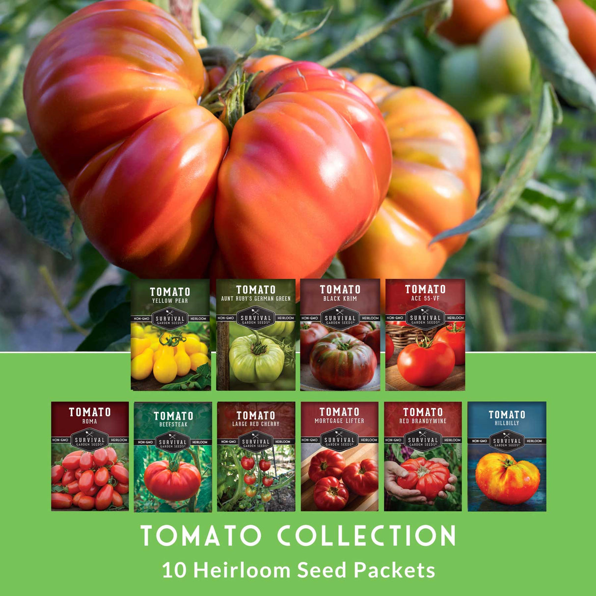 Collection of ripe tomatoes on a vine with 10 heirloom seed packets displayed below.