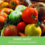 Assorted tomatoes including cherry, paste, slicer, and beefsteak with a green label reading 'Diverse Harvest'.