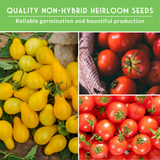 Collage of yellow bell peppers and red tomatoes with text about non-hybrid heirloom seeds.