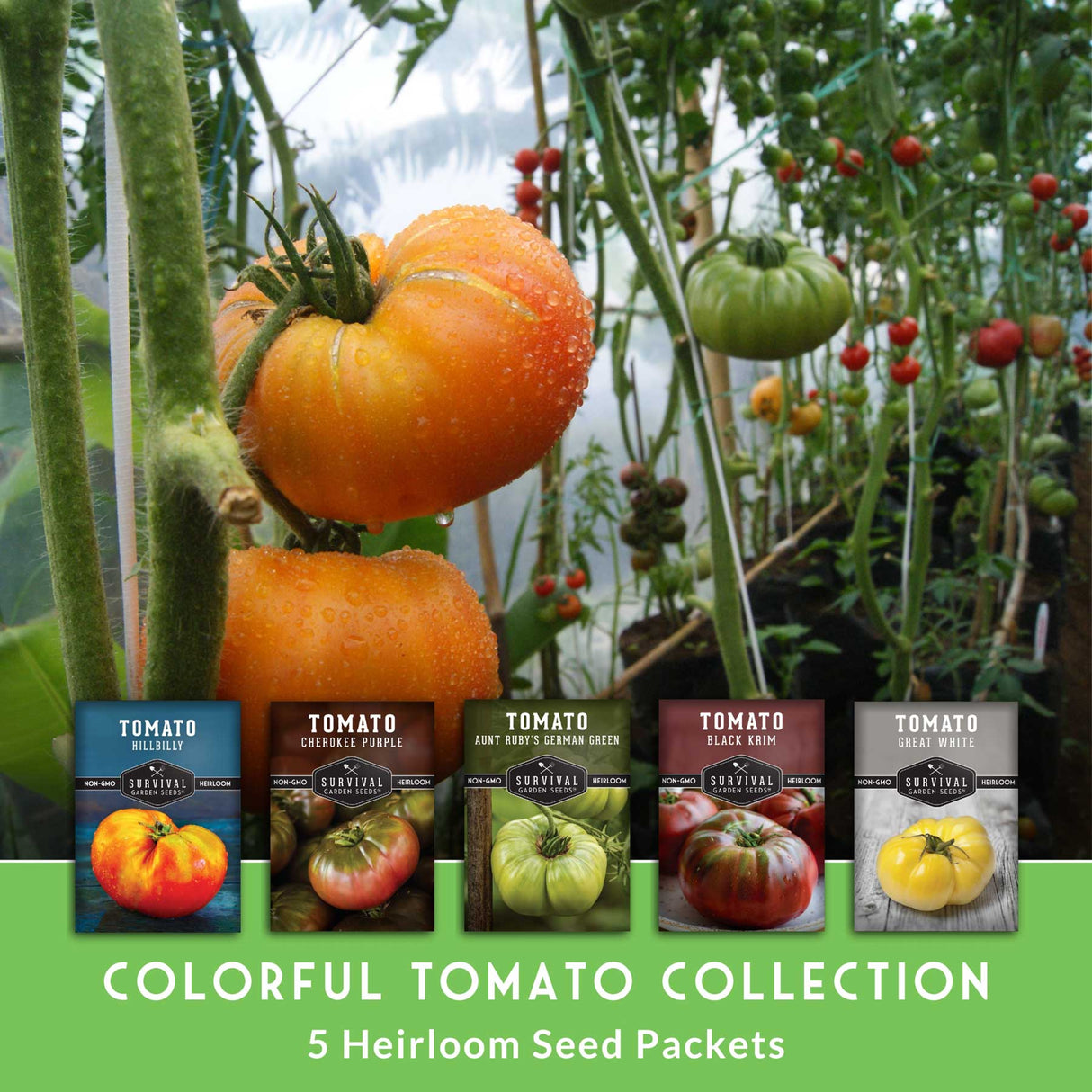 Colorful tomato collection with seed packets and a garden background