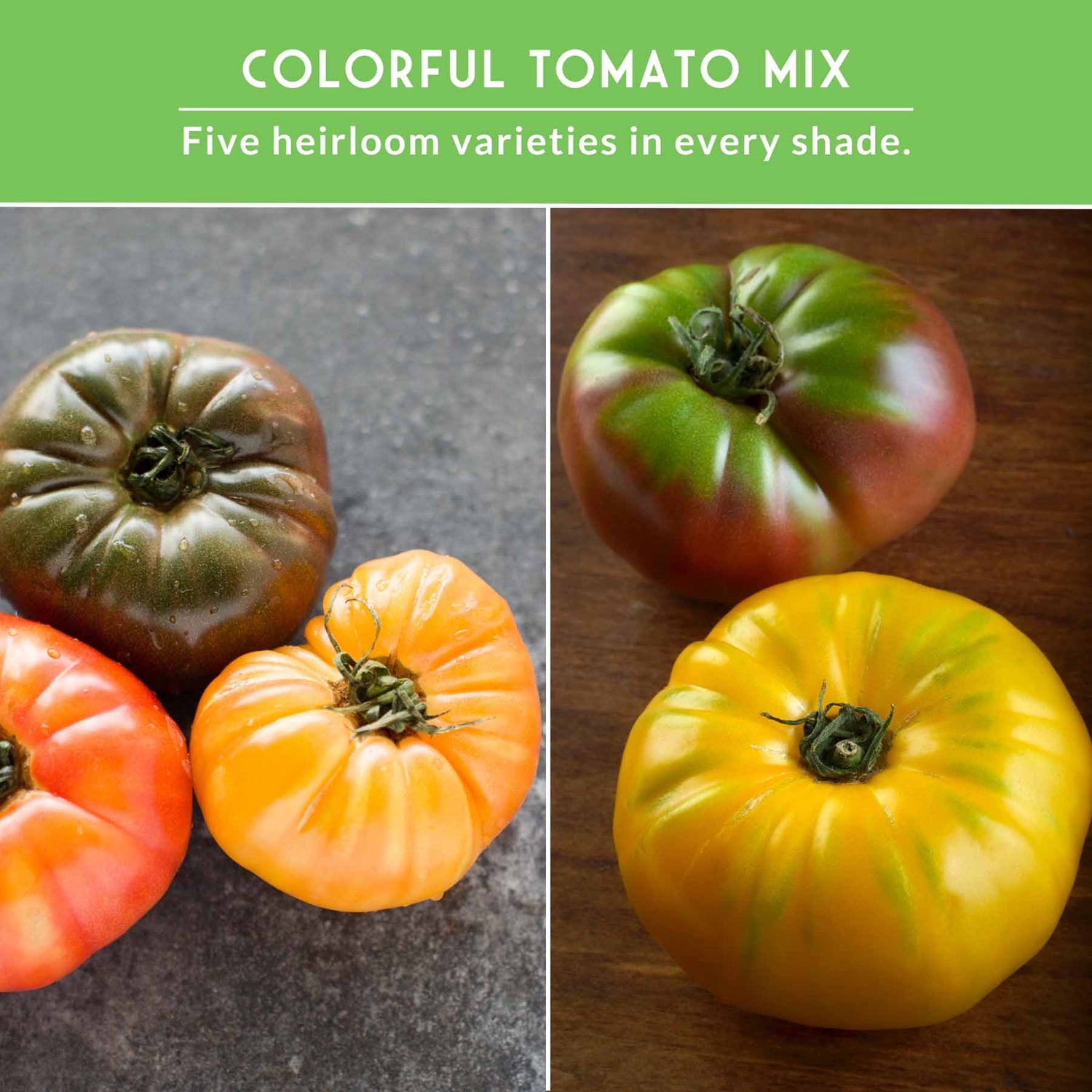 Colorful tomato mix with five heirloom varieties on a green background.