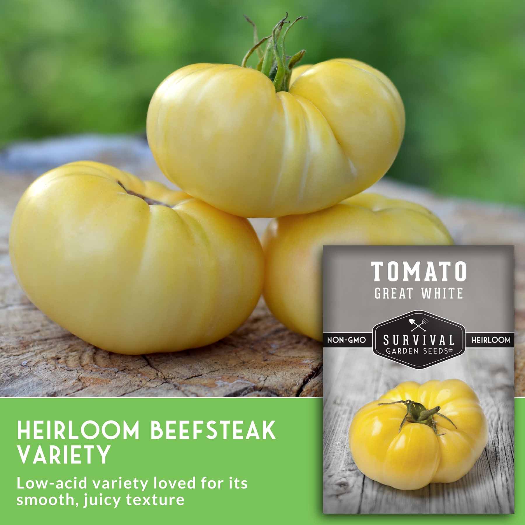 Great White Tomato Seeds – Heirloom, Low-Acid – SurvivalGardenSeeds