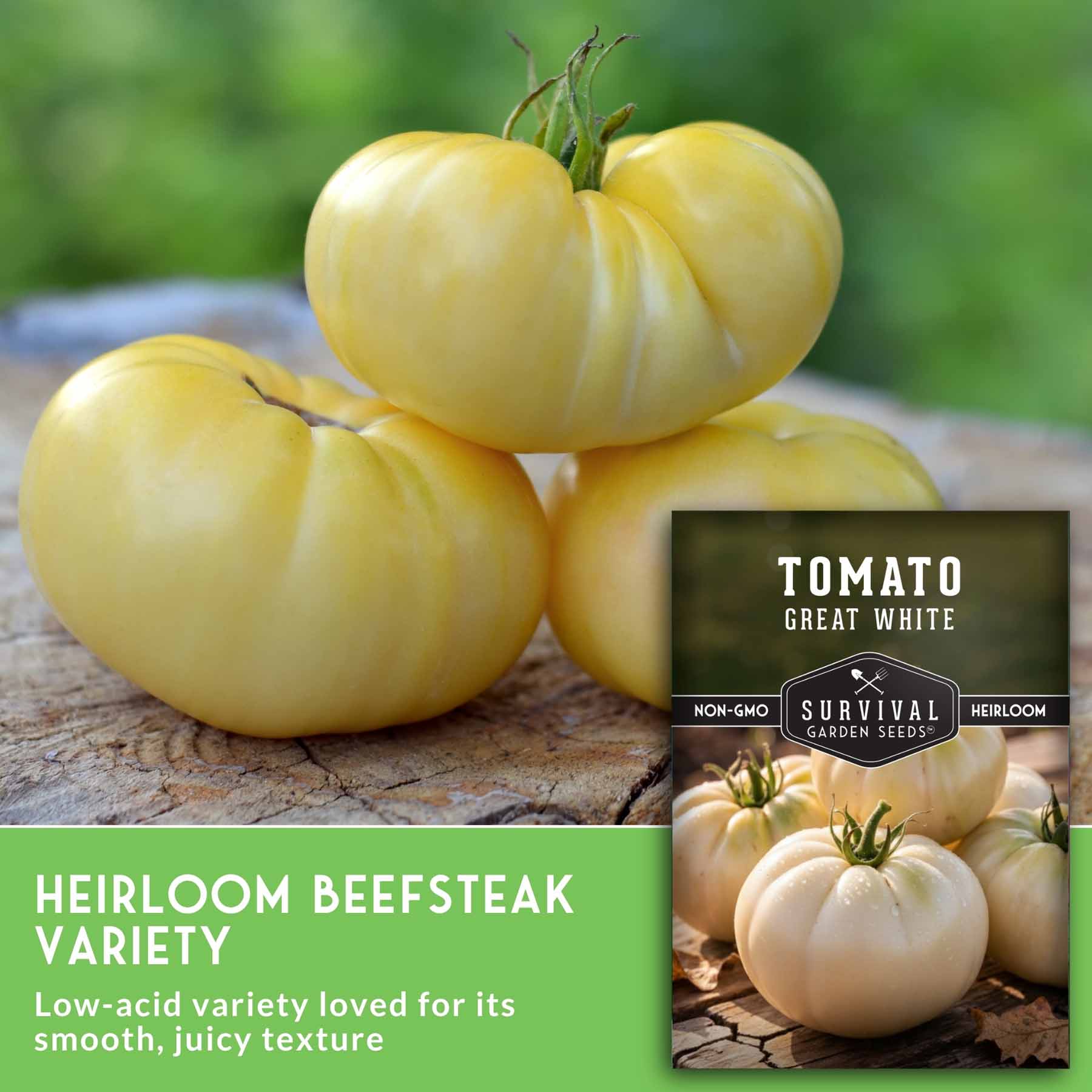 Great White Tomato Seeds – Heirloom, Low-Acid – SurvivalGardenSeeds