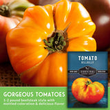 orange tomato with text that says gorgeous tomatoes