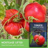 Tomatoes on a vine with a 'Tomato Mortgage Lifter' seed packet.