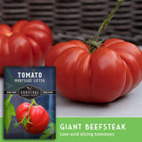 Giant beefsteak tomato with a seed packet labeled 'Tomato Mortgage Lifter' on a neutral background.