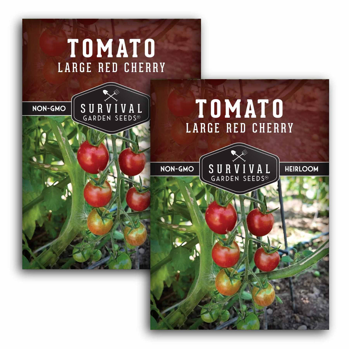 Large Red Cherry Tomato Seeds – Indeterminate, High-Yield Cherry Tomatoes for Fresh Salads and Snacking