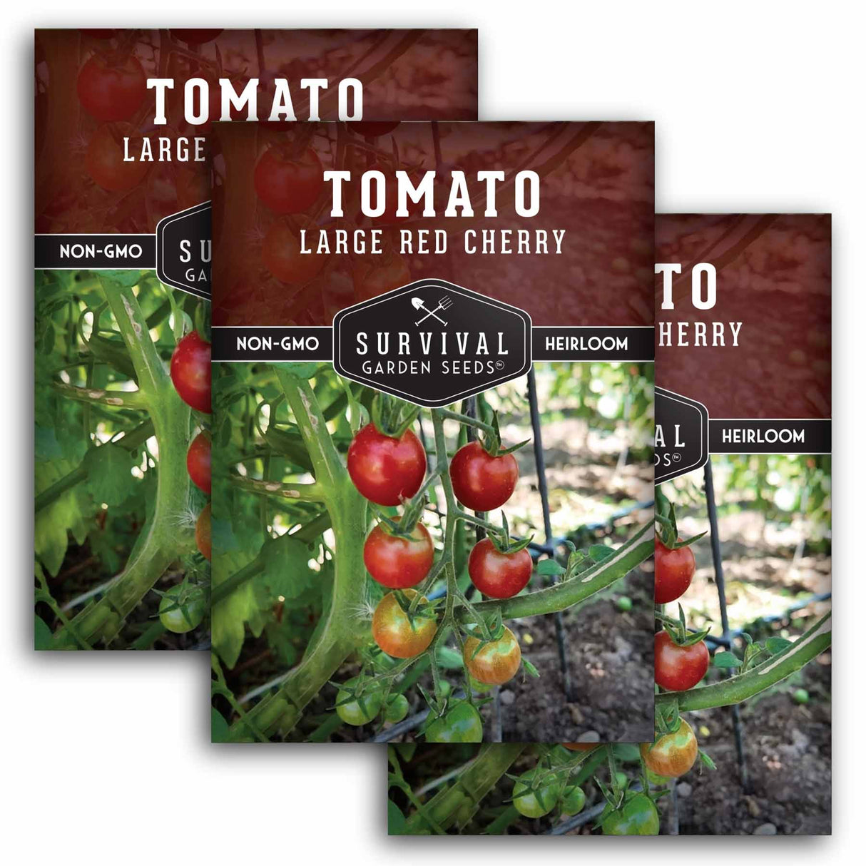 Large Red Cherry Tomato Seeds – Indeterminate, High-Yield Cherry Tomatoes for Fresh Salads and Snacking