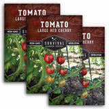 Large Red Cherry Tomato Seeds – Indeterminate, High-Yield Cherry Tomatoes for Fresh Salads and Snacking