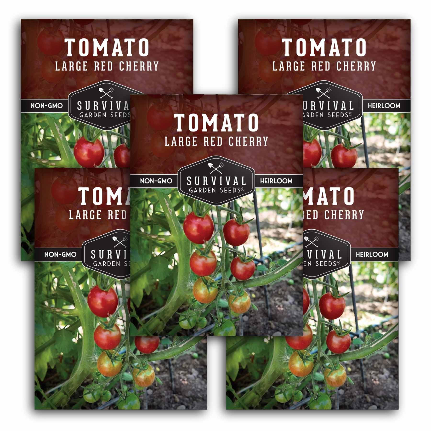 Large Red Cherry – Heirloom Cherry Tomato Seeds – SurvivalGardenSeeds