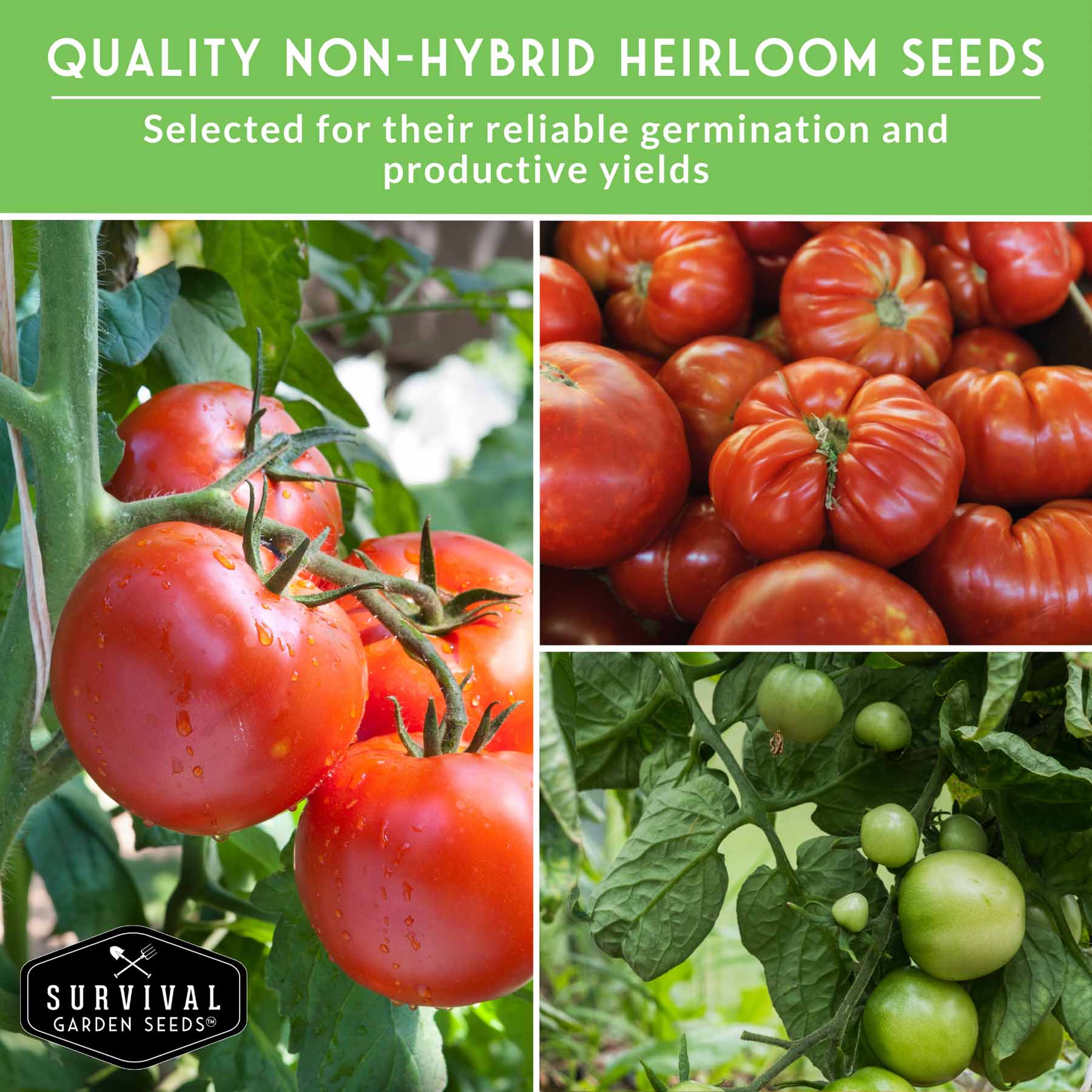 Slicing Tomato Seed Collection – 5 Varieties – SurvivalGardenSeeds