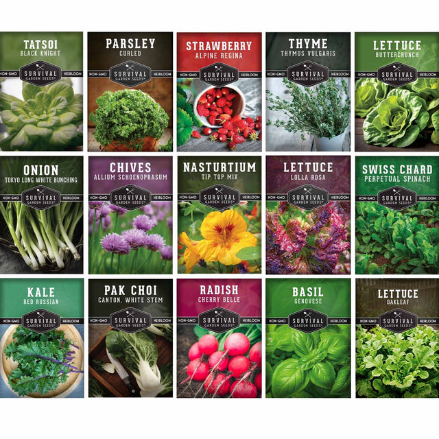 A grid of seed packet illustrations for Survival Seeds, featuring various herbs and vegetables including Tatsoi, Parsley, Strawberry, Thyme, Lettuce, Onion, Chives, Nasturtium, Kale, Pak Choi, Radish, Basil, and Swiss Chard.