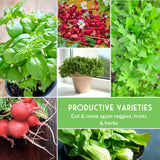 Collage of various vegetables, fruits, and herbs with a green banner at the bottom.