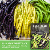 Three types of beans (purple, yellow, green) on a wooden surface with Survival Garden Seeds packaging.
