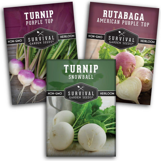3 Packets of turnip and rutabaga seeds