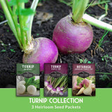 Turnip seed collection with 3 heirloom seed packets and turnips in the background