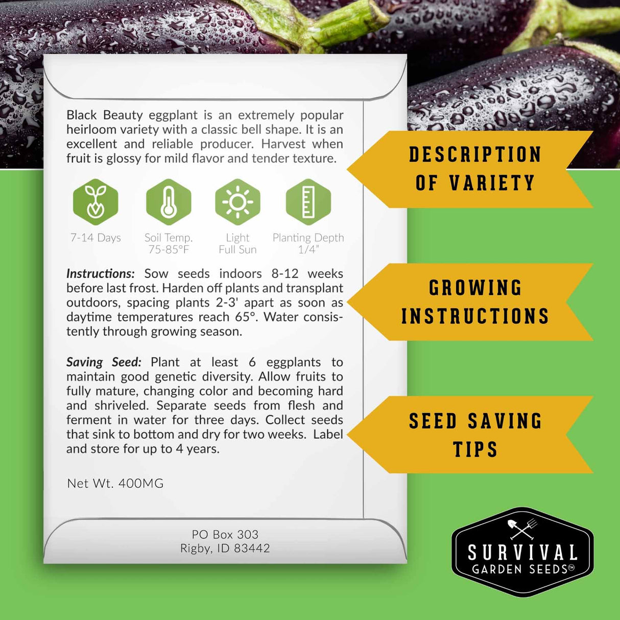 Survival Garden Seeds packaging for Black Beauty eggplant with text and branding.