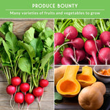 Collage of fruits and vegetables with text 'Produce Bounty' on a green background.